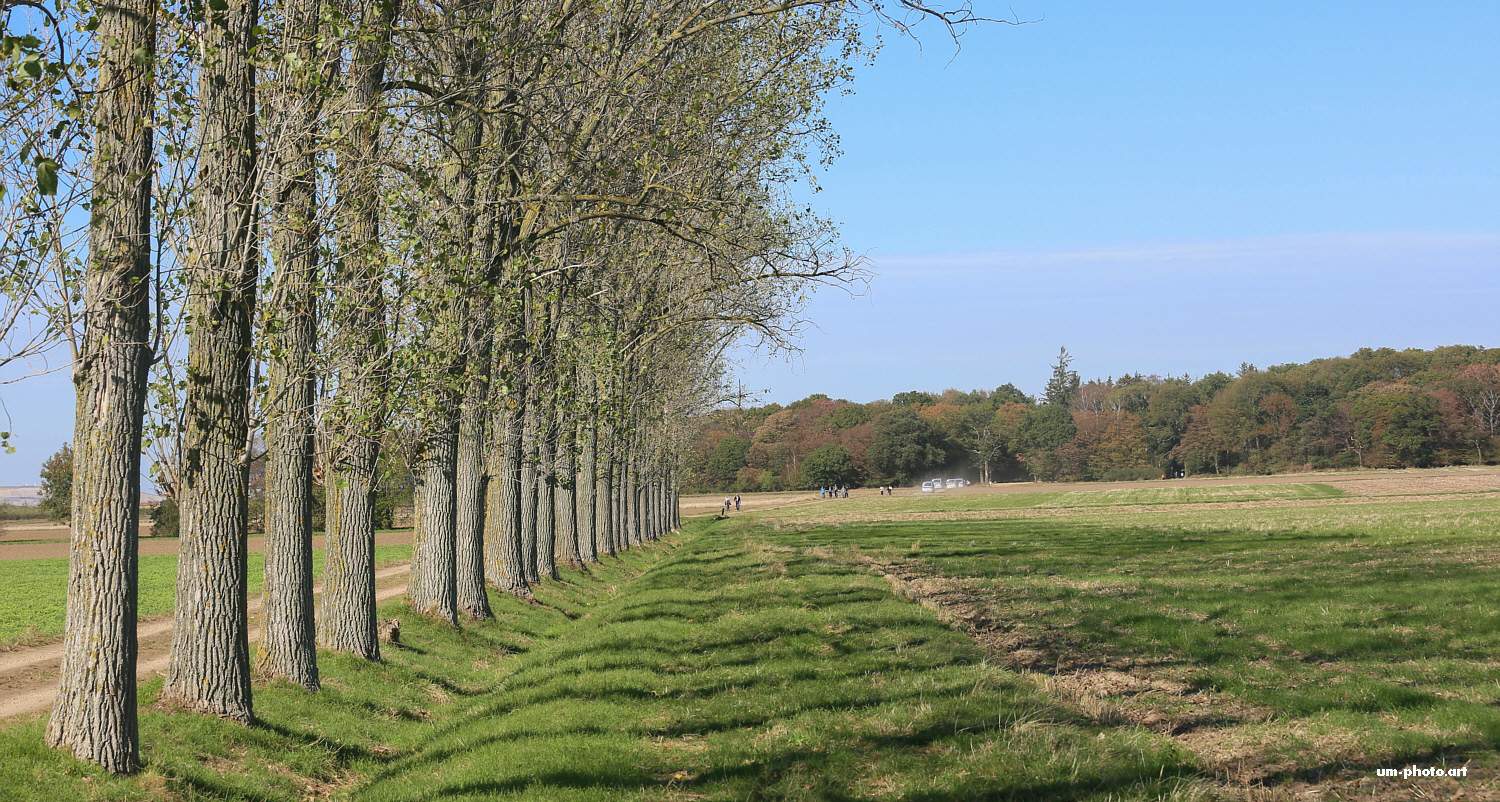  hambacher_forst_016.jpg