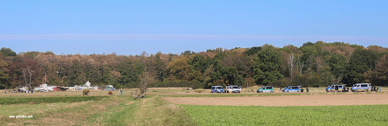  hambacher_forst_023.jpg