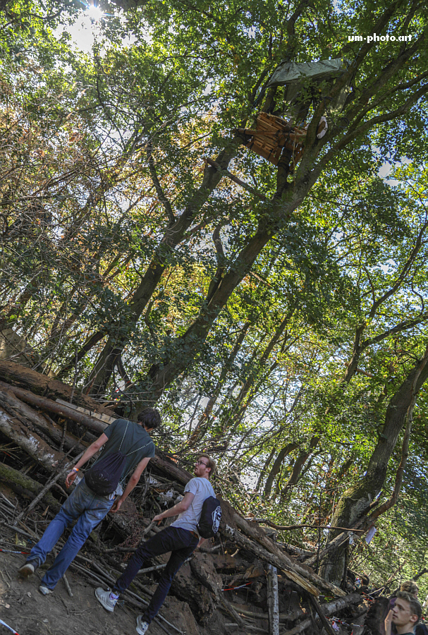 hambacher_forst_034.jpg