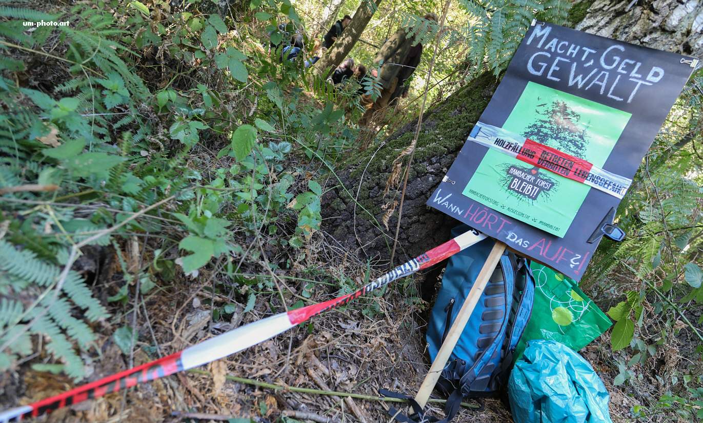  hambacher_forst_046.jpg