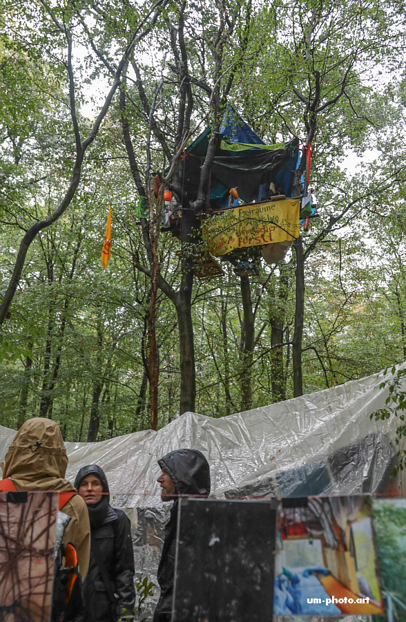  hambacher_forst_054.jpg