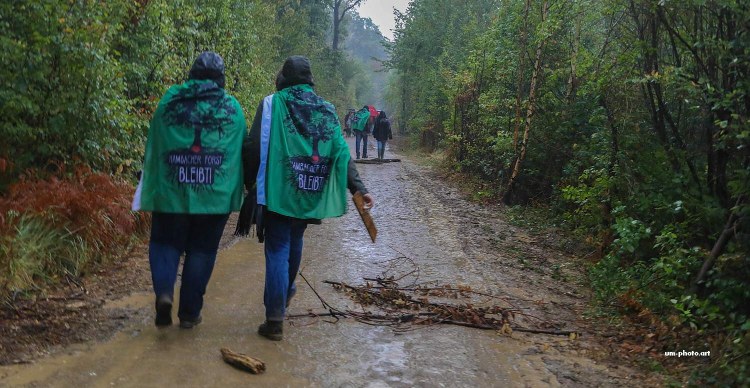  hambacher_forst_061.jpg