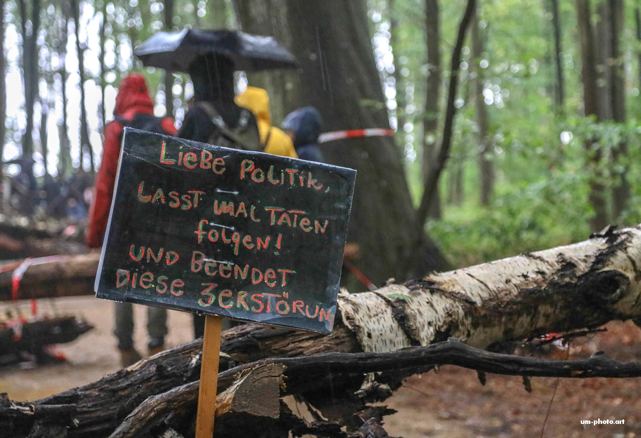  hambacher_forst_066.jpg