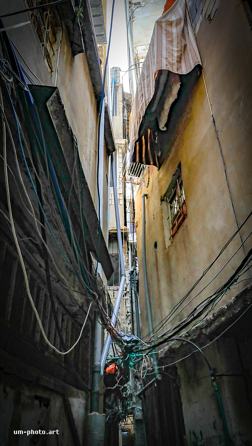  shatila_031.jpg