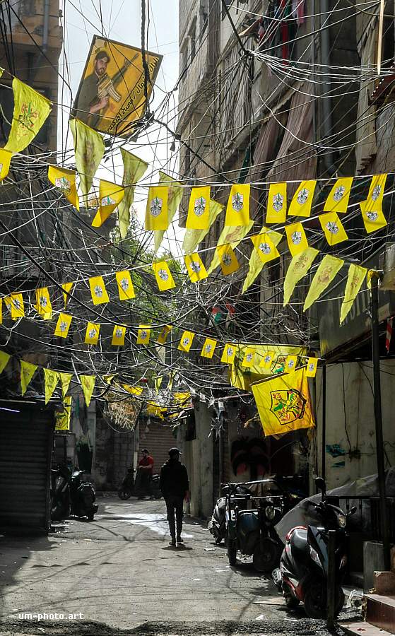  shatila_040.jpg