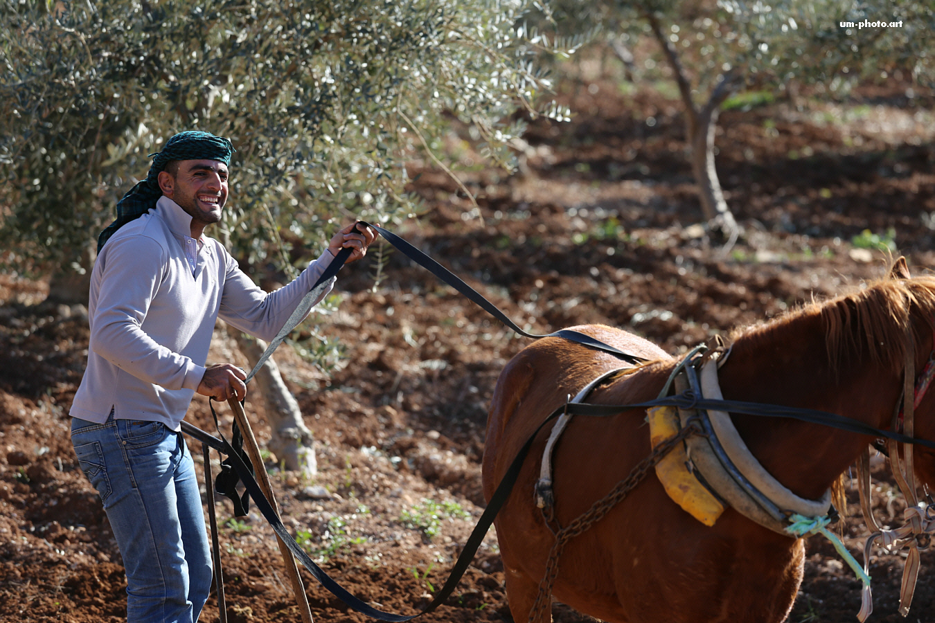  palestine_081.jpg