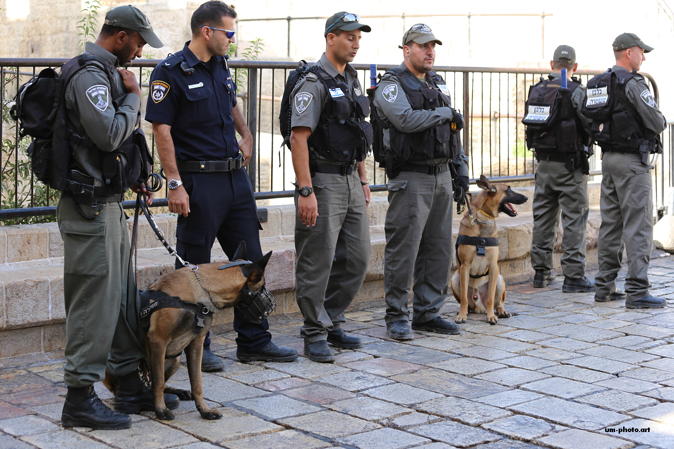  palestine_166