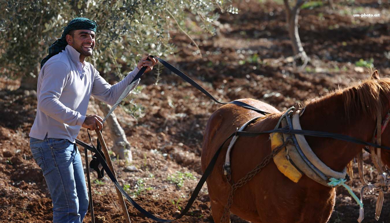  palestine_215
