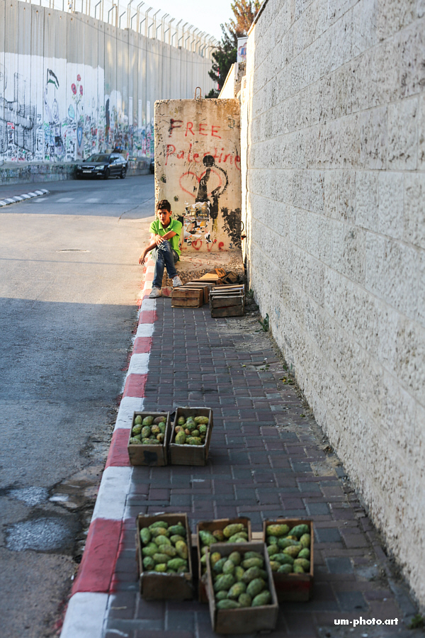  palestine_312.jpg