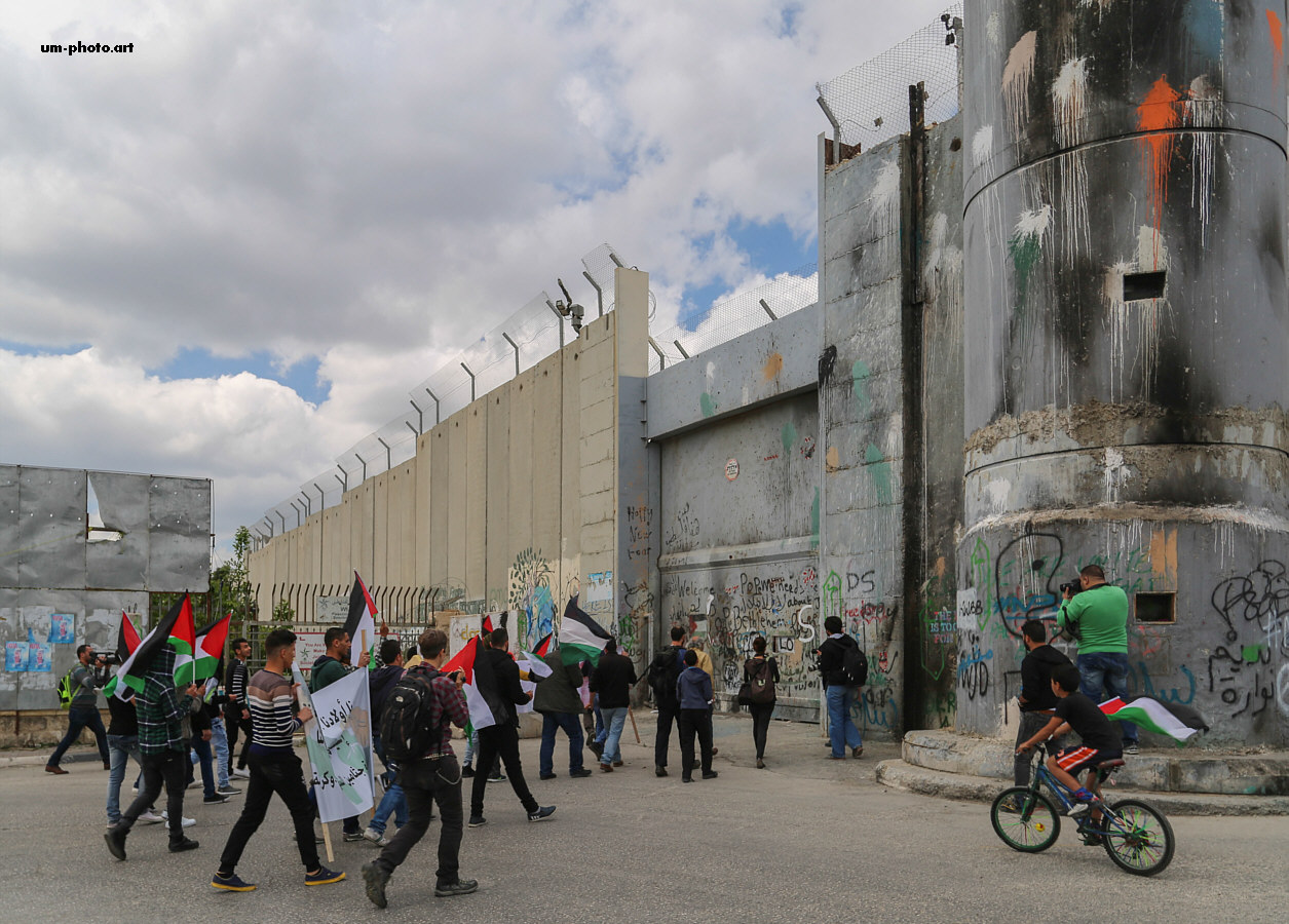  palestine_487.jpg