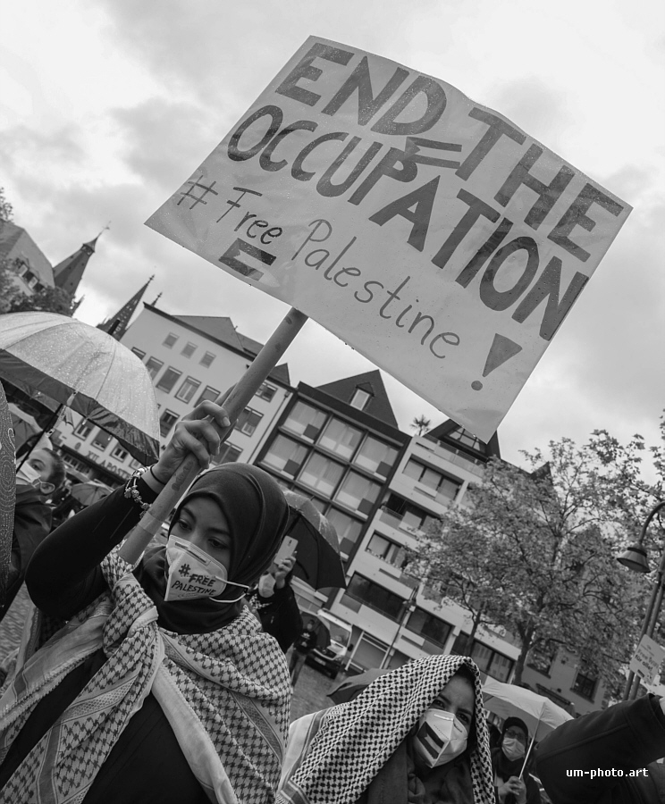  free_palestine_11.jpg