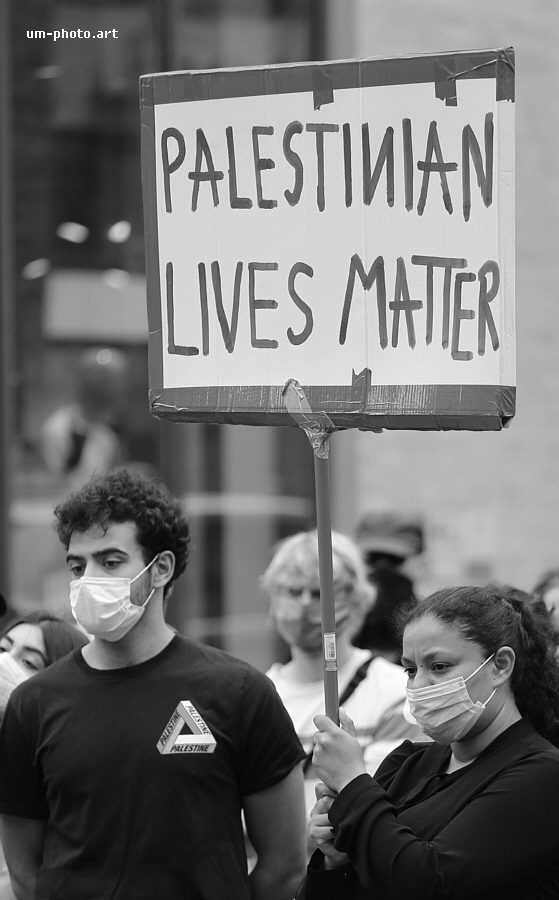  palestine_demo_11.jpg