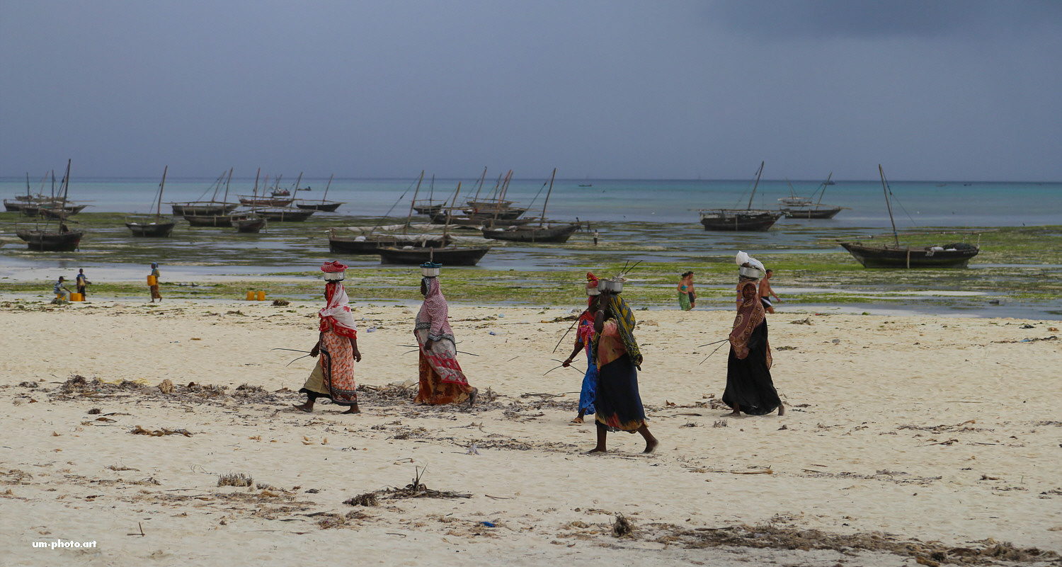  sansibar_051.jpg