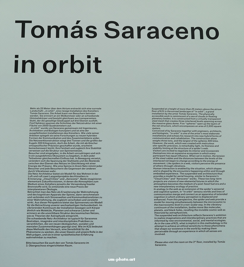  saraceno_001.jpg